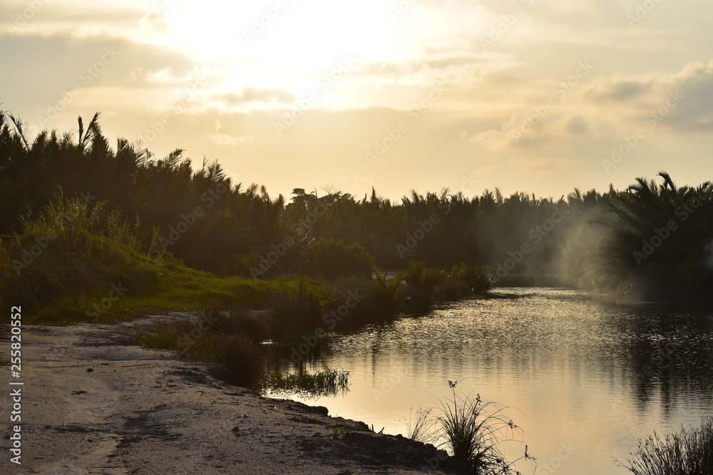 Fototapeta premium view from lakeside