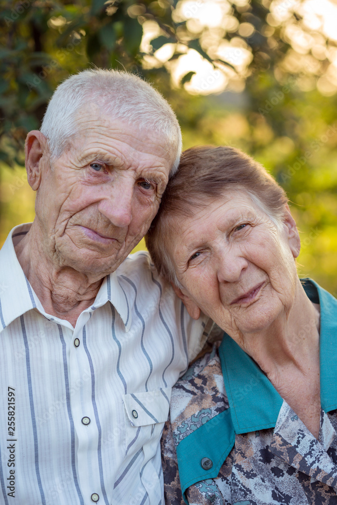 portrait of grandparents portrait of grandparents
