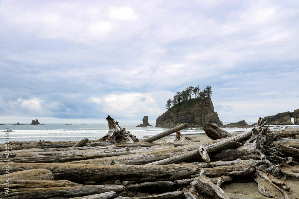 Second beach in the Olympic National Park in the morning, USA. Second beach in the Olympic National Park in the morning, USA.