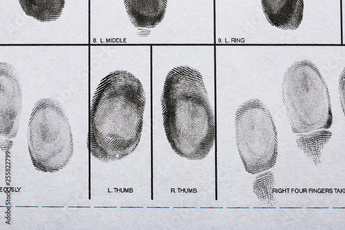 Fingerprint record sheet, top view. Criminal investigation