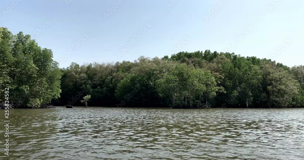 Aquaculture on brackish water at mangrove forest in Chanthaburi, Thailand. Wooden houseboat and oyster, mussel or shell fish farm are built with recycling bottles and background of mangrove forest. Aquaculture on brackish water at mangrove forest in Chanthaburi, Thailand. Wooden houseboat and oyster, mussel or shell fish farm are built with recycling bottles and background of mangrove forest.
