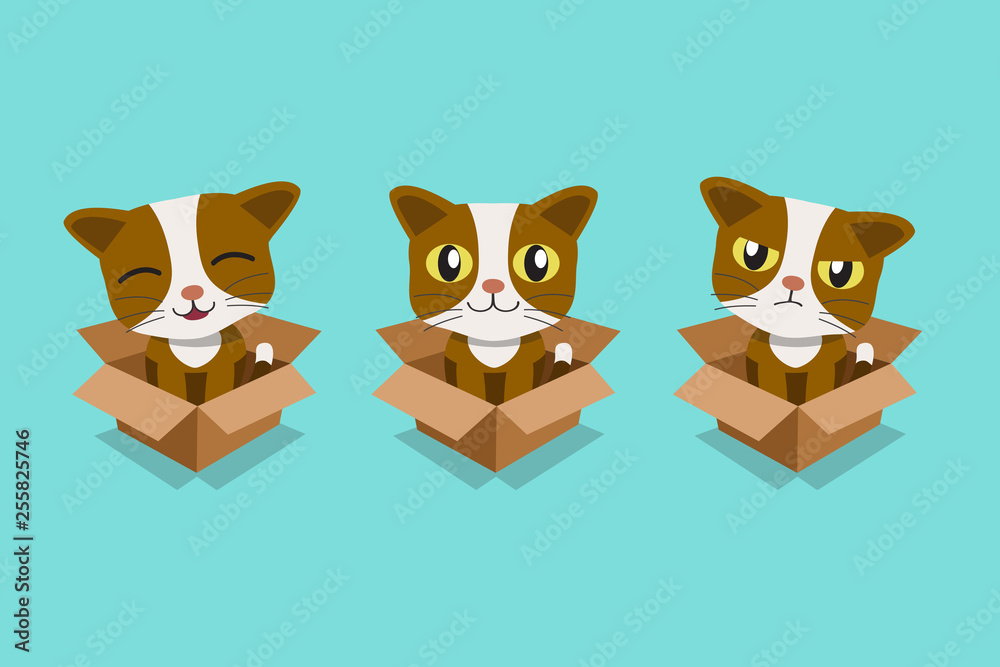 Vector cartoon illustration set of cat in cardboard box for design.