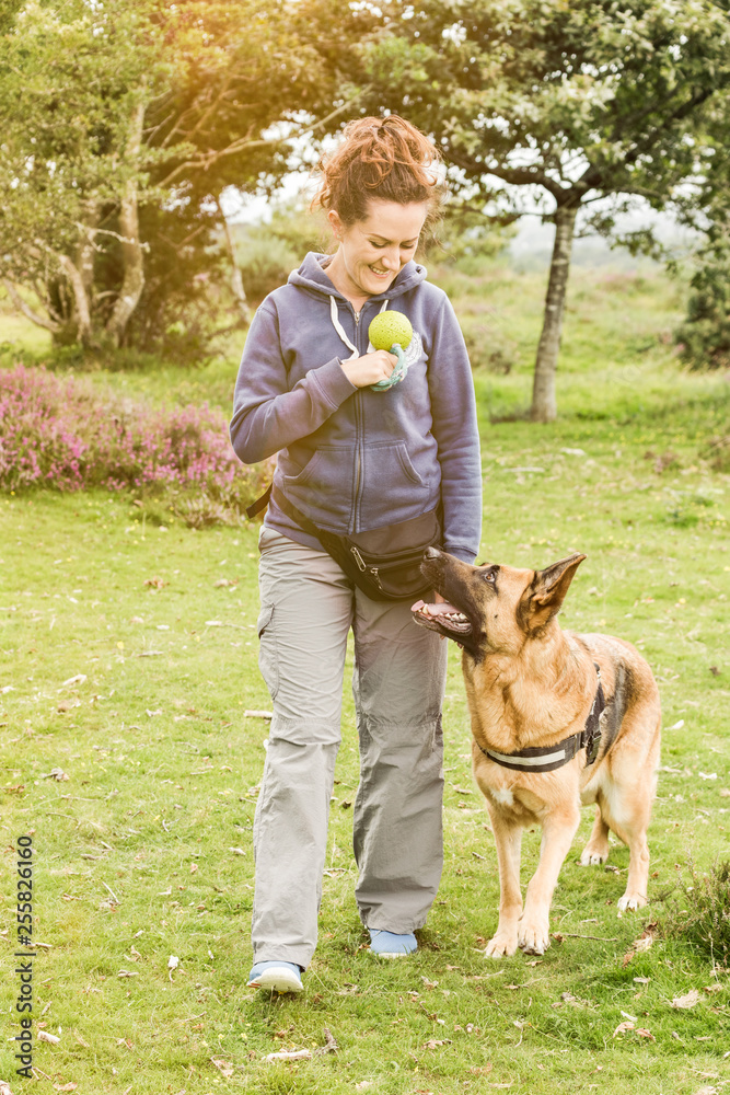 Obedience dog training session outdoor Obedience dog training session outdoor