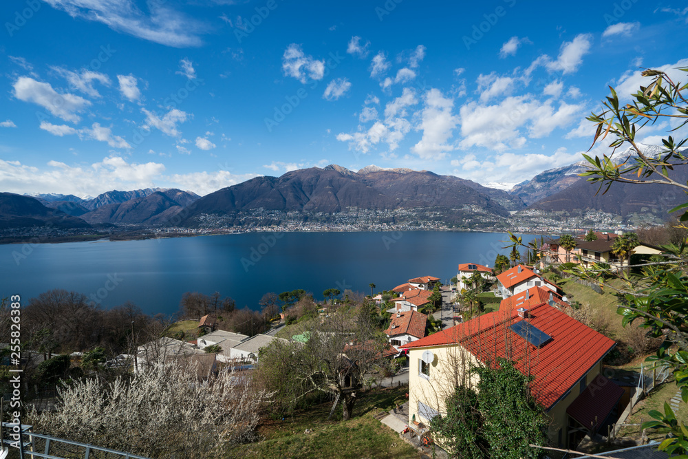 Fototapeta premium Maggiore lake view over Gambarogno village in spring