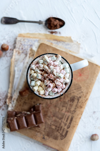 Hot chocolate with marshmallows