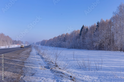 roadside tree planting in Chuvash Republic in Russia,filmed in one Sunny March morning, with mist-scattering © artem