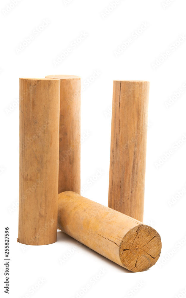 wooden log isolated