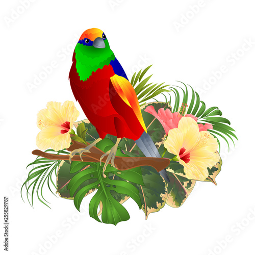 Tropical bird on a branch with tropical flowers hibiscus palm,philodendron on a white background vintage vector illustration editable hand draw