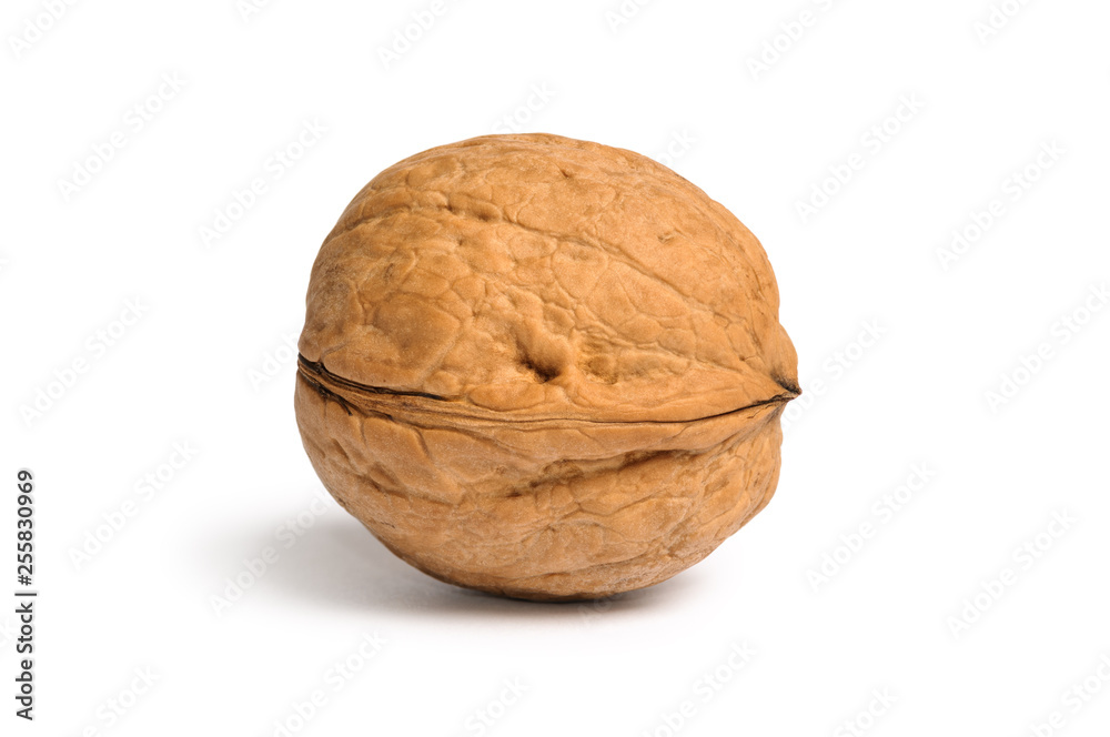 Walnut in shell isolated on white background Walnut in shell isolated on white background