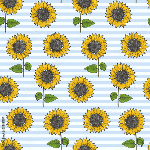 Retro seamless pattern with colorful sketch sunflowers on tender striped blue background. Trendy hand drawn illustration of beautiful sun flower, texture for textile, wrapping paper, surface