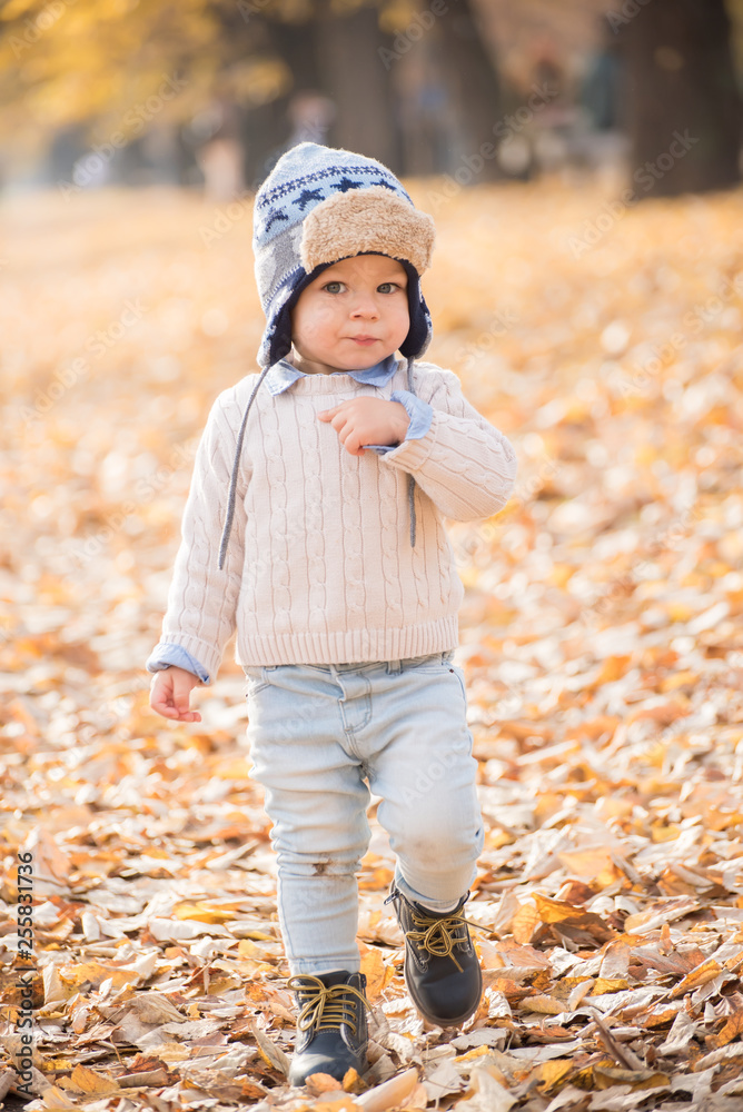 Beautiful baby boy walking throw the autumn leaves at the park. Beautiful baby boy walking throw the autumn leaves at the park.