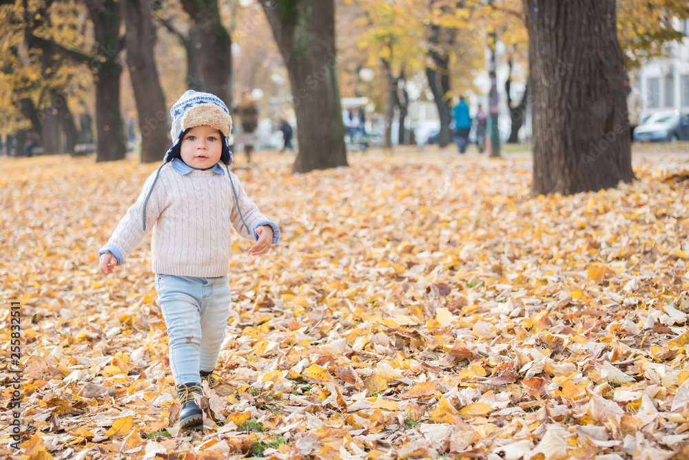 Beautiful baby boy walking throw the autumn leaves at the park. Beautiful baby boy walking throw the autumn leaves at the park.