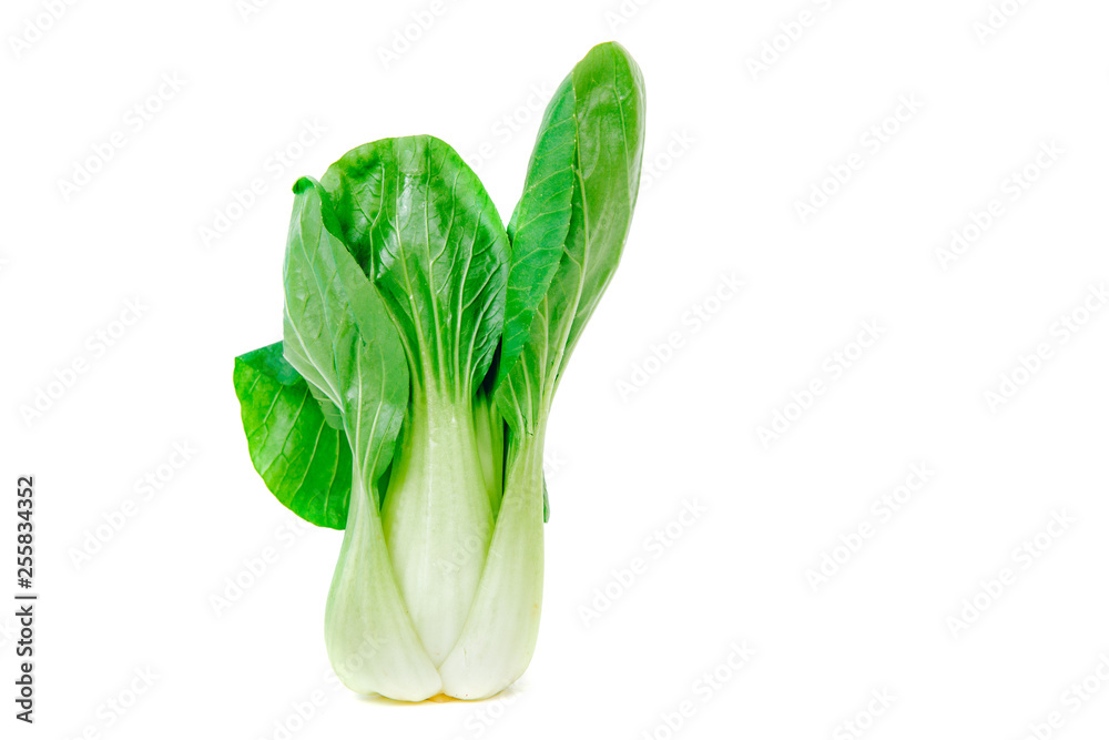 Pak choi cabbage isolated on a white background. The concept of eating vegetables, using vegetables for dishes. Dish for a vegetarian, vegan. Healthy nutrition, eating vitamins. Pak choi cabbage isolated on a white background. The concept of eating vegetables, using vegetables for dishes. Dish for a vegetarian, vegan. Healthy nutrition, eating vitamins.