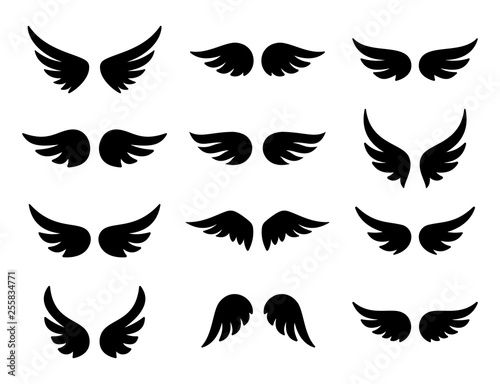 Fototapeta Wings logo set. Vector