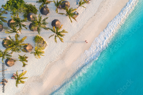 Photographie Aerial view of umbrellas, palms on the sandy beach of Indian Ocean at sunset