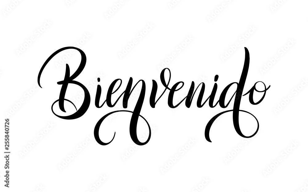 Spanish translation Bienvenido - Welcome. Greeting hand drawing calligraphy  isolated on white background. Vector template, hand written lettering  typography poster, invitation, print. Stock Vector