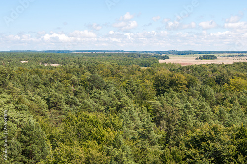 Forest seen from above - from a bird's eye view