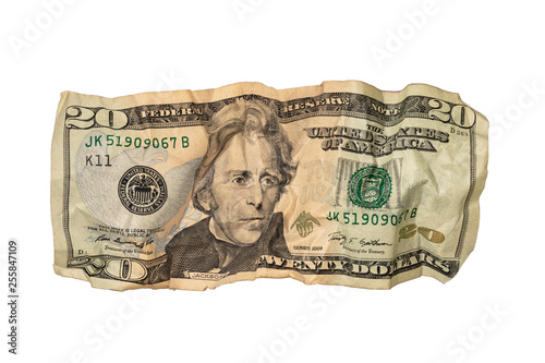 Crumpled Twenty Dollar Bill