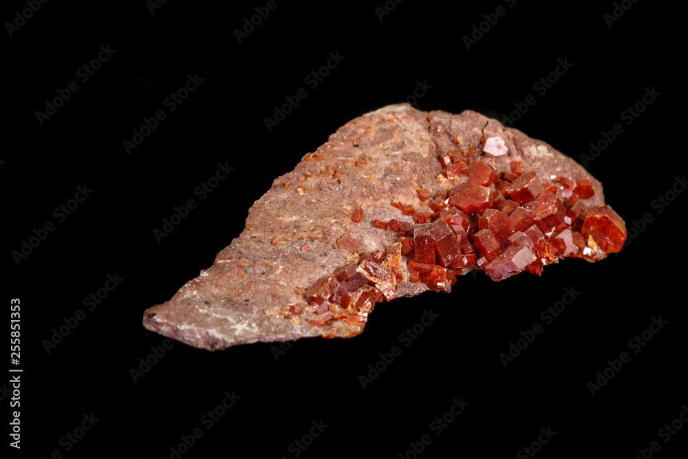 Macro mineral stone Vanadinite on a black background Macro mineral stone Vanadinite on a black background
