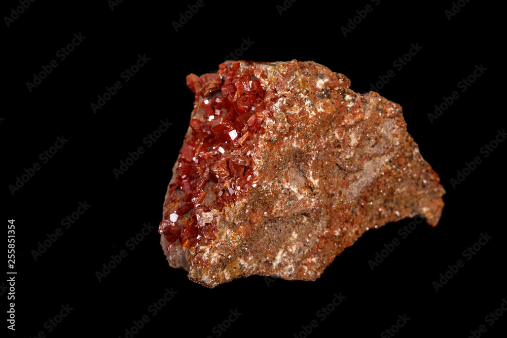 Macro mineral stone Vanadinite on a black background Macro mineral stone Vanadinite on a black background