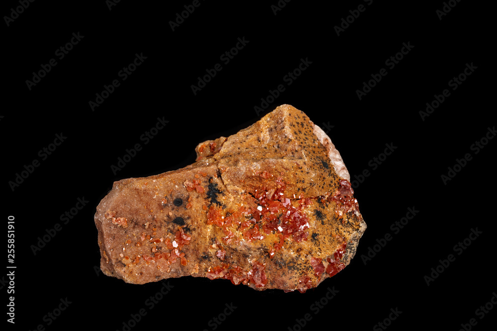 Macro mineral stone Vanadinite on a black background Macro mineral stone Vanadinite on a black background