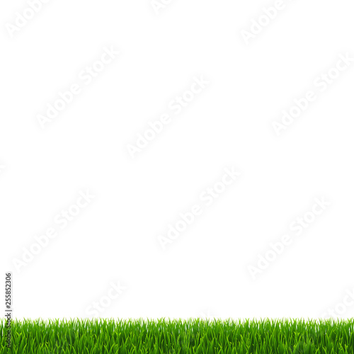 Grass Border Isolated