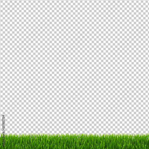 Grass Border Transparent Background