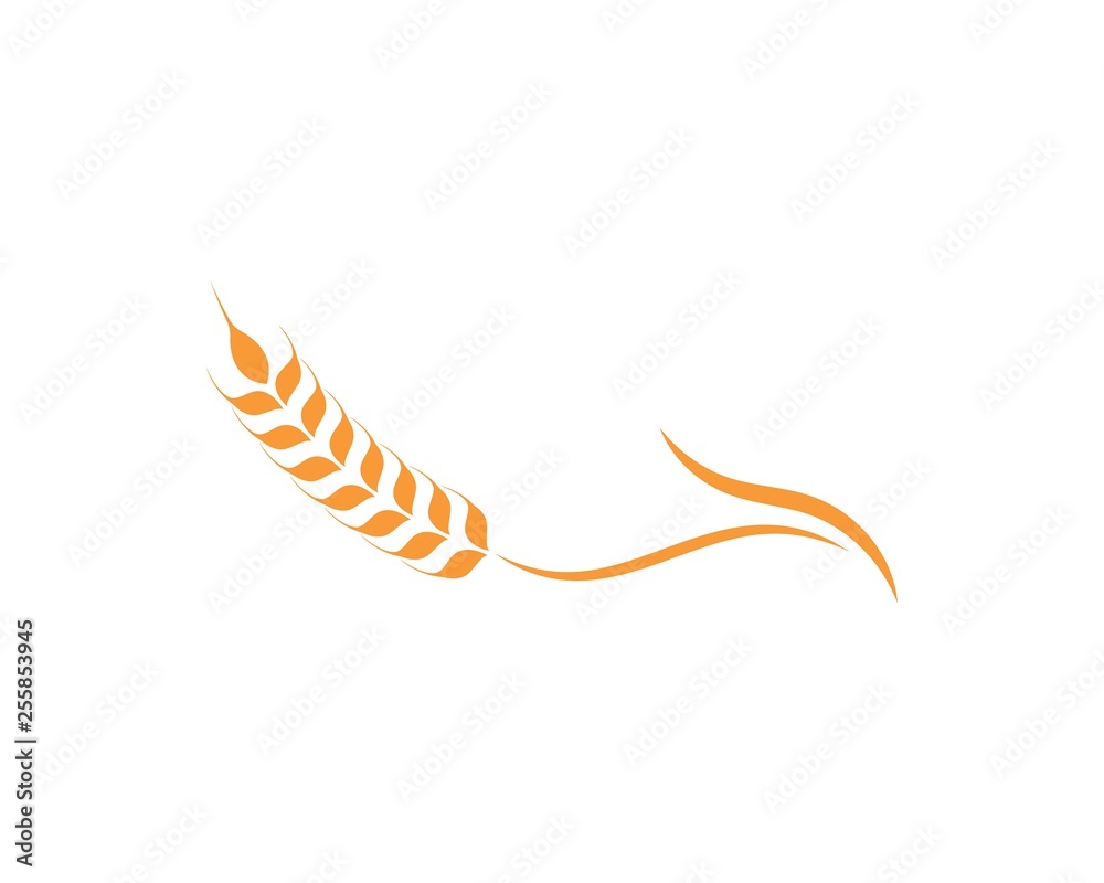 Agriculture wheat Logo Template vector icon Agriculture wheat Logo Template vector icon