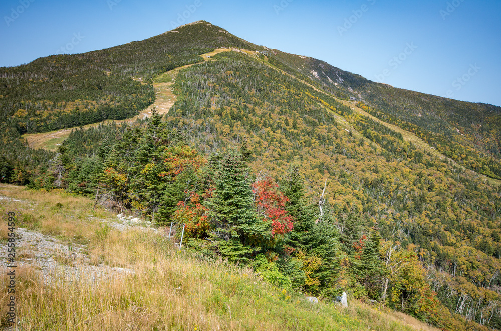 Fototapeta premium Whiteface mountain