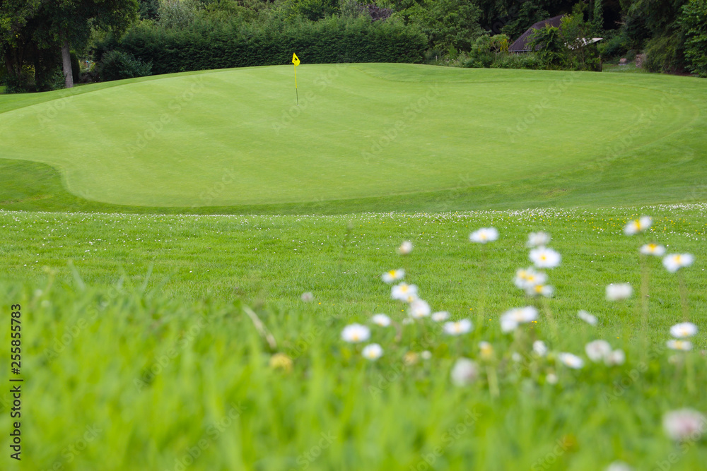 Fototapeta premium Golf flag on the green grass
