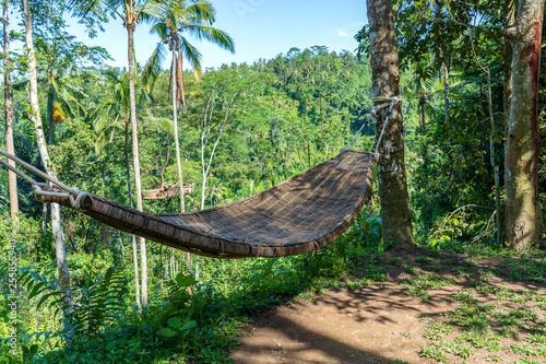 Fototapeta Naklejka Na Ścianę i Meble -  Bamboo wicker hammock next to the tropical jungle in island Bali, Indonesia