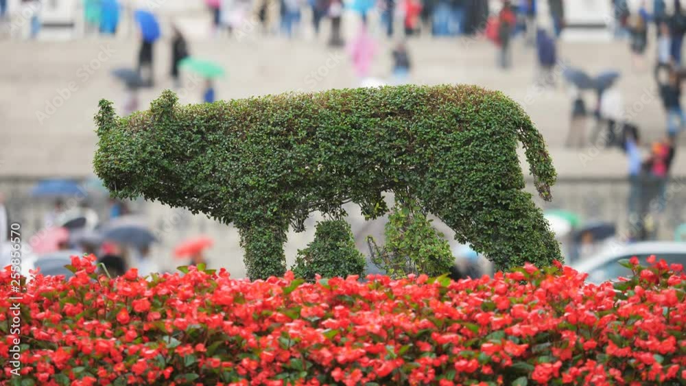 The Capitoline Wolf (Lupa Capitolina) floral arrangement depicts the legend of the mythical twin brothers Romulus and Remus, founders of Rome and Roman Empire