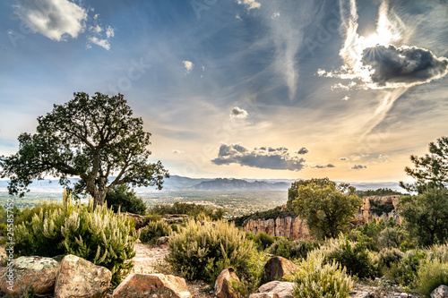 view on valley of roquebrune sure agens, cote d'azur, france