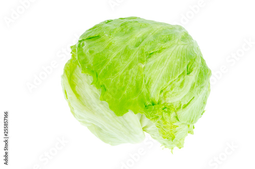 Iceberg lettuce head isolated on white background.