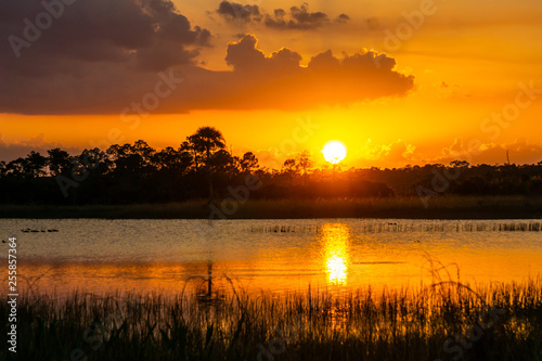 Sunset at Pine Glades Natural Area  Jupiter  Palm Beach County  Florida  USA