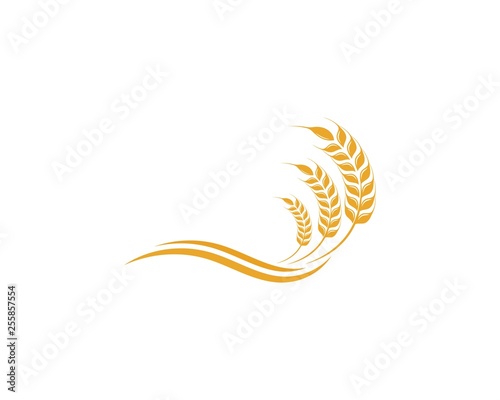 Agriculture wheat Logo Template vector icon