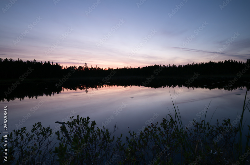 Small calm lake in sweden surrounded by a forest