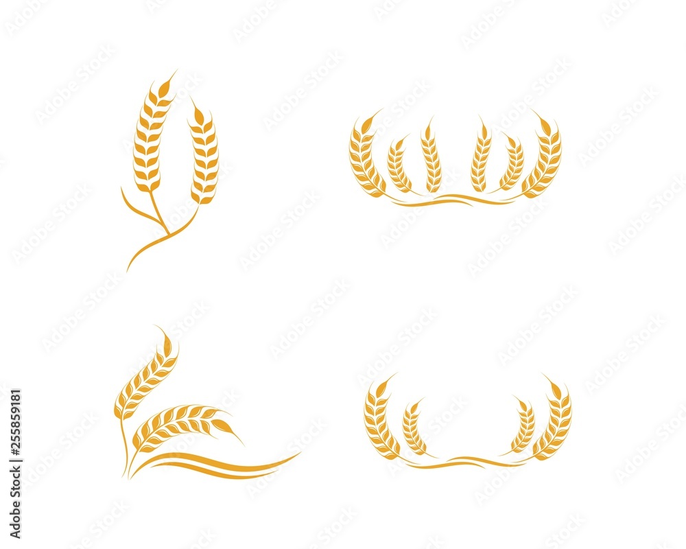 Agriculture wheat Logo Template vector icon