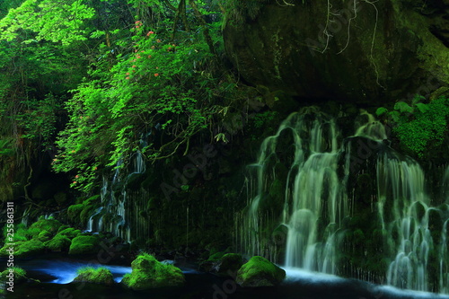 新緑の滝 © yspbqh14