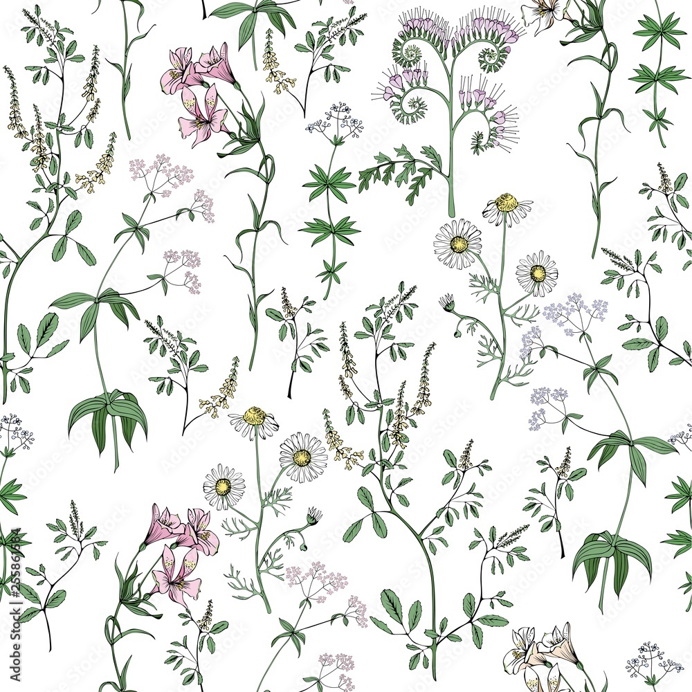 Meadow flowers vector seamless pattern