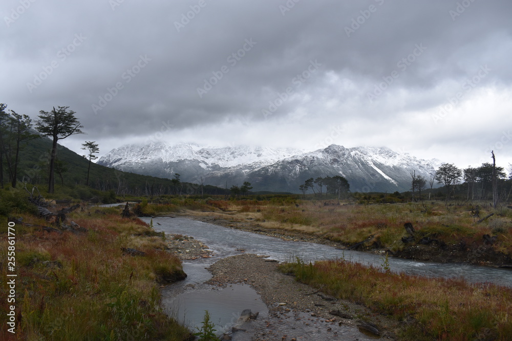 Frozen Mountains