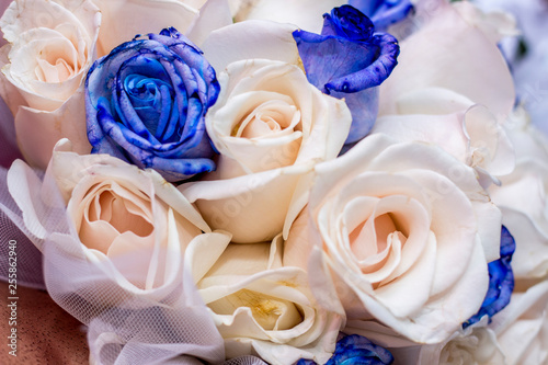 Ramo de flores azules para novia photo