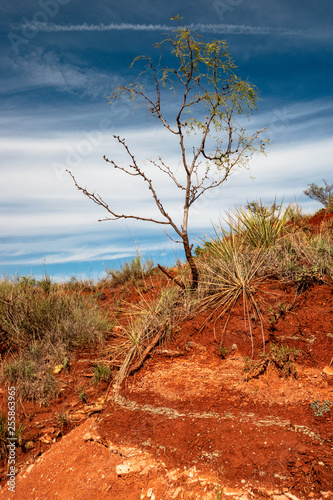 Palo Duro Canyon, TX - Lighthouse Trail