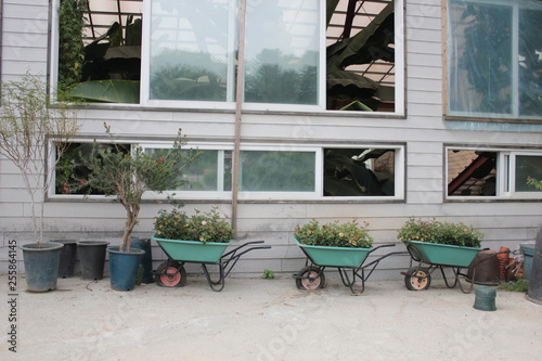 old cart with flowers