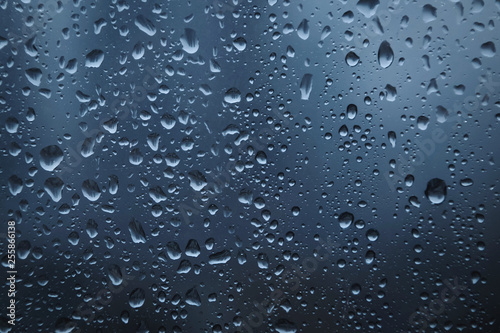 rain drops on the window 