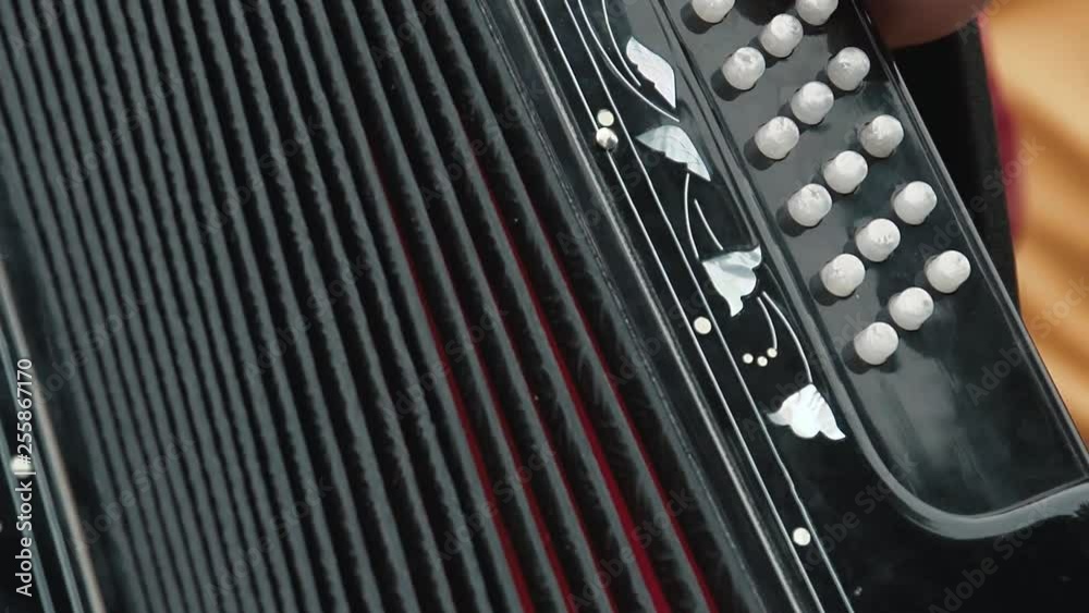 Woman, dressed in a folk costume, plays the accordion. Slow motion. Close up.