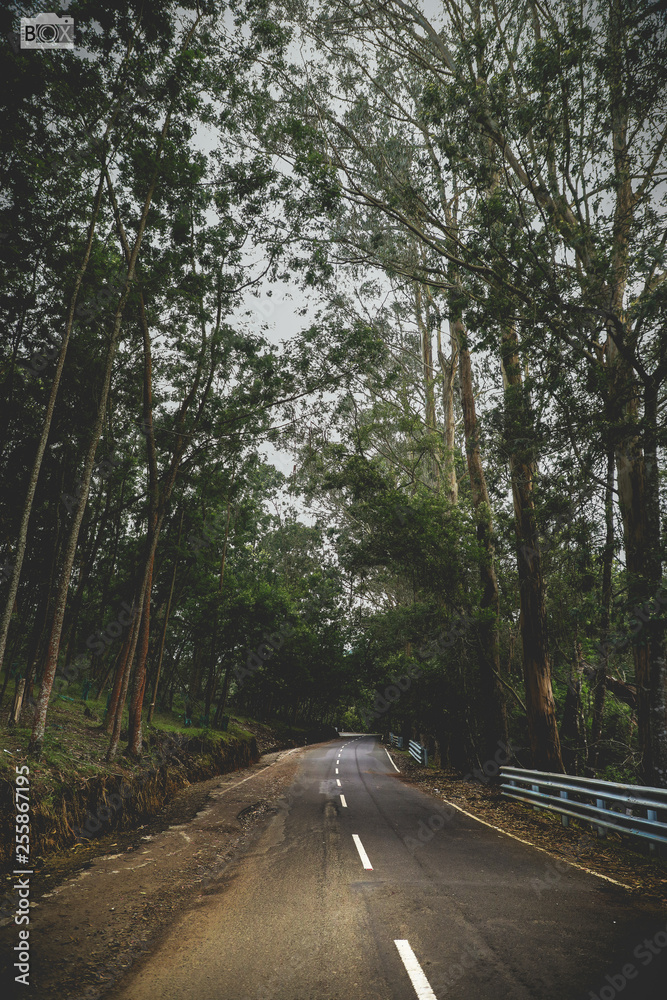 Fototapeta premium The destiny