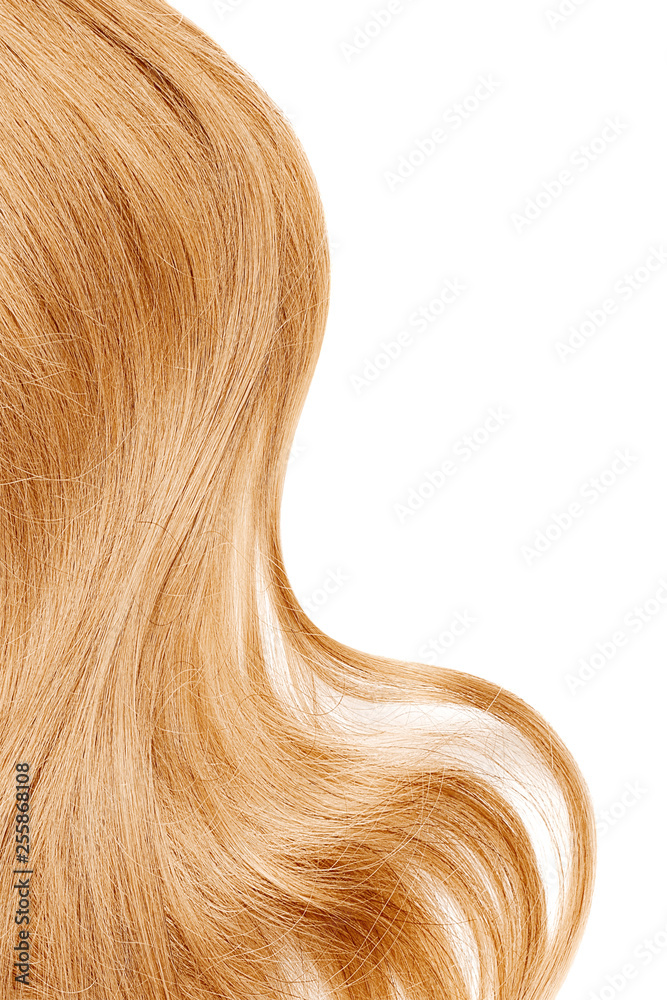 Natural blond hair isolated on white. Background Natural blond hair isolated on white. Background
