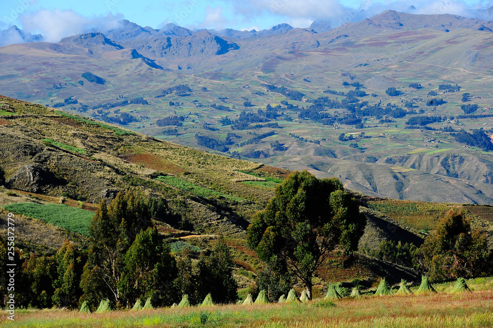 The hills of Cochabamba province, Bolivia