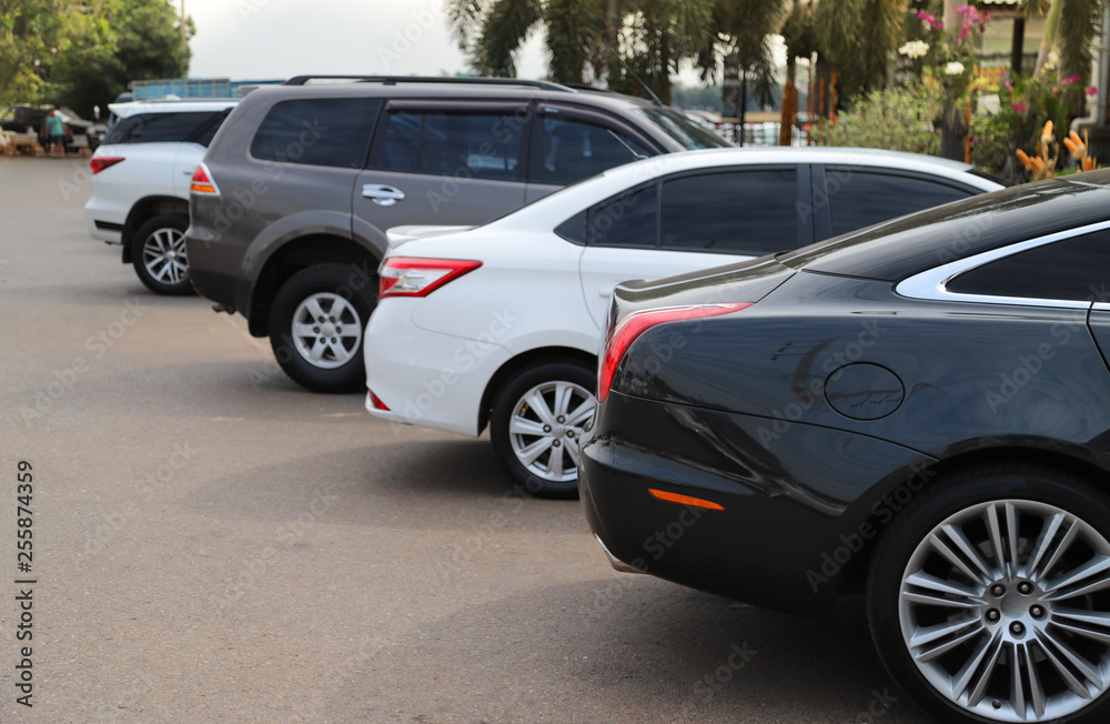 Closeup of back or rear side of black car and other cars parking in parking area in sunny day. 